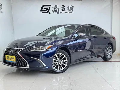2023 Lexus ES 260 Excellence, фото 1, лот 11195819