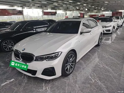2021 BMW 3 Series Facelift 320Li M Sport Package, фото 2, лот 10457694