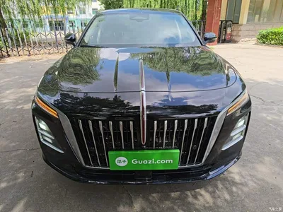 2025 Hongqi H5 2.0T Automatic Flag Celebration 500,000 Units Anniversary Edition, фото 3, лот 10304418