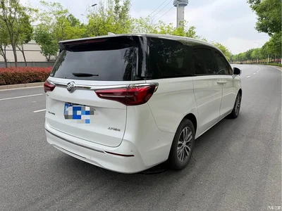 2021 Buick GL8 ES Landlord 653T Premium, фото 2, лот 10256839