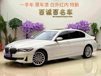 2022 BMW 5 Series Facelift II 530Li Luxury Trim Premium Package, фото 1, лот 11249471