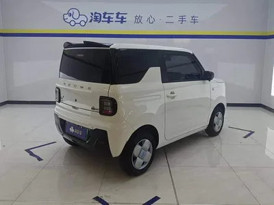 2024 Geely Galaxy Panda mini 200km Endurance Bear, фото 3, лот 10430368