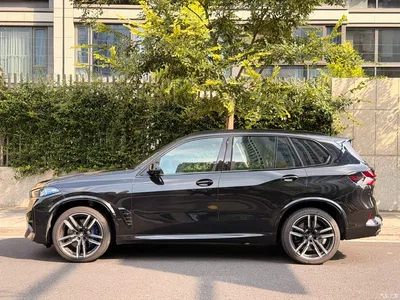 2023 BMW X5 M Model X5 M Thunder Edition, фото 2, лот 10477142