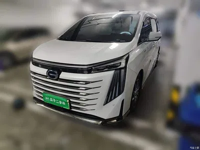 2023 GAC Trumpchi Trumpchi E9 E9 MAX, фото 2, лот 10260267