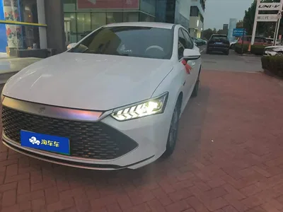 2024 BYD Qin PLUS Glory Edition DM-i 55KM Leading, фото 1, лот 11205493