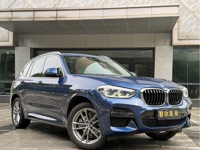 2021 BMW X3 xDrive25i M Sport Package, фото 3, лот 10461072