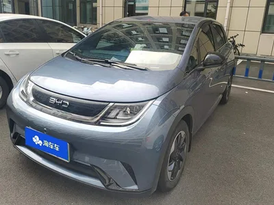 2025 BYD Dolphin 420km Freedom Edition, фото 1, лот 10385433