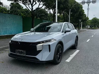 2022 Venucia Big V 260T Custom Edition·Idol, фото 4, лот 11153643