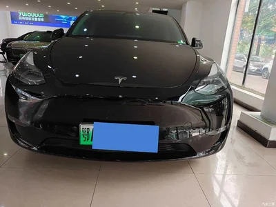 2021 Tesla Model Y Model Long Range AWD, фото 2, лот 11133365