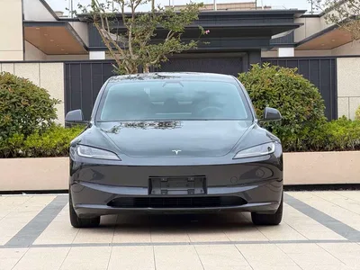 2025 Tesla Model 3 Model Rear-Wheel Drive Edition, фото 2, лот 11531111