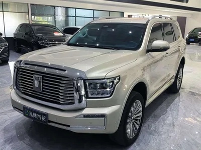 2023 Tank 500 3.0T Business Edition (5-seater), фото 1, лот 10345089