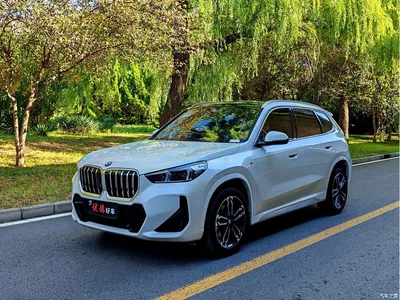 2024 BMW X1 sDrive25Li M Sport Package, фото 1, лот 10765267