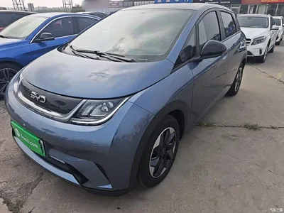 2025 BYD Dolphin 420km Freedom Edition, фото 2, лот 10263984