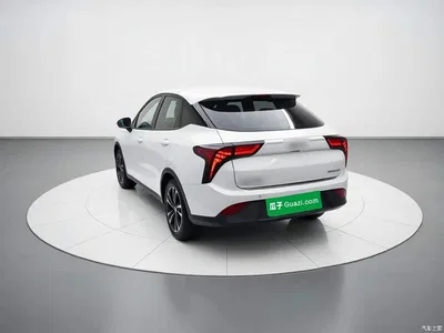 2021 Nezha Auto Nezha V Standard Range Entertainment Upgrade, фото 4, лот 11182477