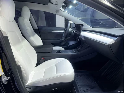 2021 Tesla Model 3 Facelift Performance High-Performance AWD 3D1, фото 4, лот 10354931