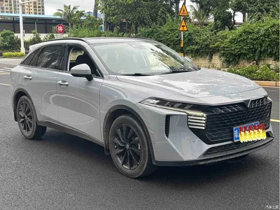 2021 Venucia Big V 260T King Edition, фото 2, лот 11148514