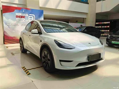 2023 Tesla Model Y Rear-Wheel Drive Edition, фото 1, лот 10680288