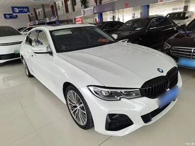 2020 BMW 3 Series 325Li M Sport Package, фото 4, лот 10457748