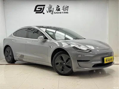 2020 Tesla Model 3 Standard Range Rear-Wheel Drive Upgrade, фото 3, лот 10345855
