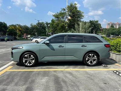 2021 Baojun Valli 1.5T Nagqu Starry Sky CVT Flagship Model, фото 4, лот 10771283