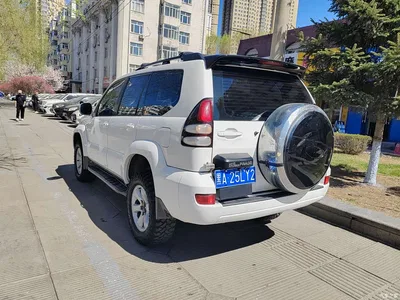 2004 Toyota Land Cruiser Prado, фото 4, лот 10294229
