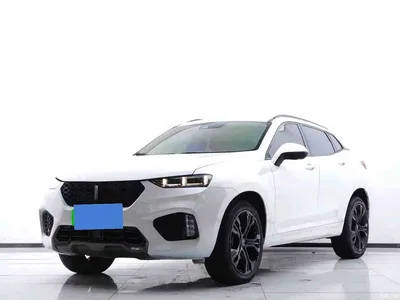 2017 WEY VV7 2.0T Flagship, фото 1, лот 10451657