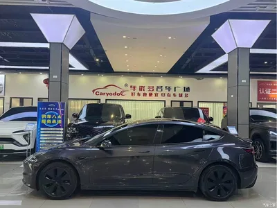 2023 Tesla Model 3 Rear-Wheel Drive, фото 3, лот 10366467