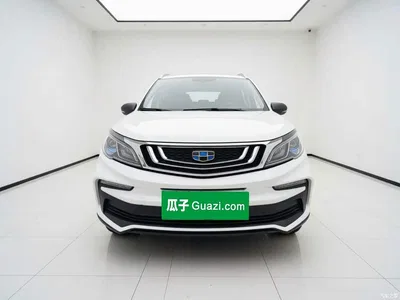 2020 Geely Vision X3 1.5L CVT Premium, фото 2, лот 11468553