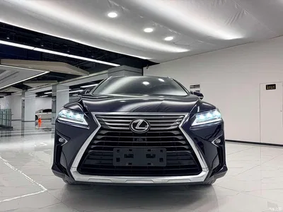 2016 Lexus RX 300 4WD Elegance Edition China VI, фото 2, лот 10312756