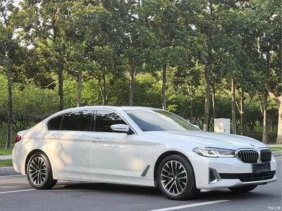 2021 BMW 5 Series 525Li Luxury Package, фото 3, лот 10443856