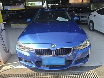 2017 BMW 3 Series 320Li M Sport, фото 3, лот 10829064