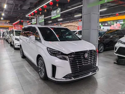 2023 Buick GL8 ES Landmaster Luxury, фото 4, лот 10764025