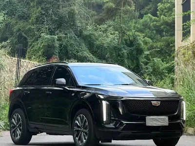 2024 Cadillac XT5 2.0T AWD Luxury (Hummingbird Edition), фото 3, лот 10598597