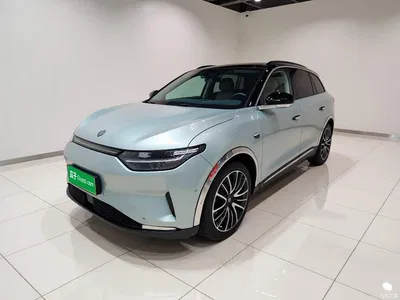 2021 Leapmotor C11 Model Premium Edition, фото 2, лот 11468916