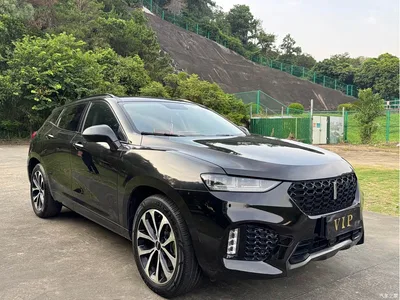 2017 WEY VV7 2.0T Super Luxury, фото 3, лот 10452028