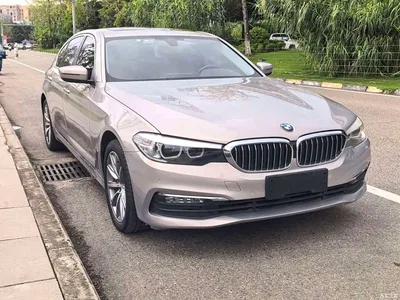 2018 BMW 5 Series 528Li Launch Special Edition, фото 2, лот 11074467