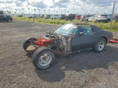 1977 CHEVROLET CORVETTE, фото 1, лот 10976707