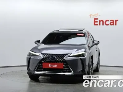 2019 Lexus UX 250h 2.0 AWD, фото 2, лот 10032841