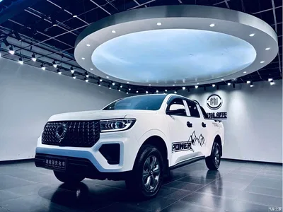 2024 Great Wall Pao Model 2.4T Commercial Version Automatic Diesel 4WD Elite Type, фото 1, лот 10364243