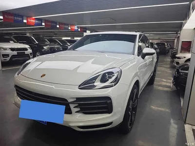 2022 Porsche Cayenne 3.0T Platinum Edition, фото 2, лот 10241815