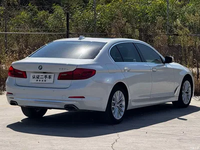 2020 BMW 5 Series 530Li Leading Luxury Package, фото 4, лот 11585154