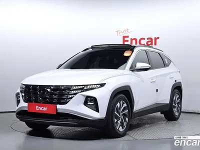 2023 Hyundai Tucson Diesel 2.0 4WD, фото 1, лот 10154129