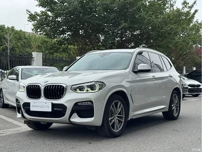 2018 BMW X3 xDrive30i Leading M Sport Package China V, фото 1, лот 10460586