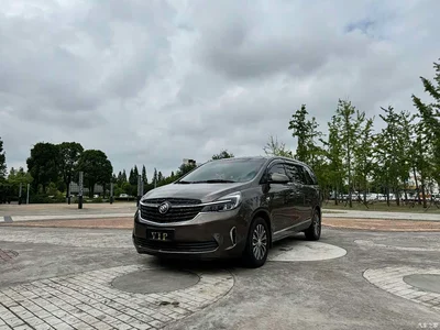 2022 Buick GL8 Land Business Class 652T Prestige, фото 3, лот 10254331