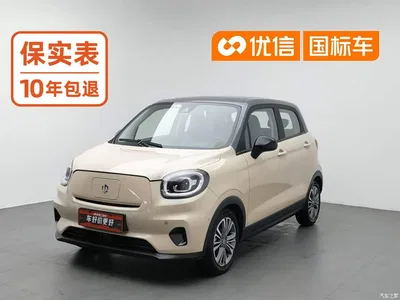 2021 Leapmotor T03 400 Luxury Edition, фото 1, лот 10306435