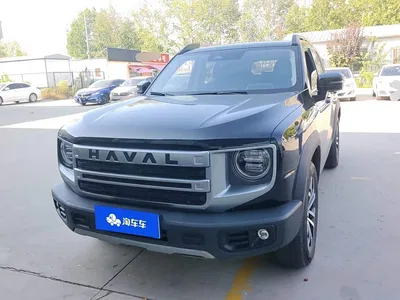 2024 Haval Big Dog 1.5T DCT Border Collie Edition, фото 2, лот 11582232