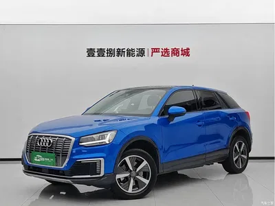 2019 Audi Q2L e-tron Pure Electric Smart Cool Edition, фото 1, лот 10473220