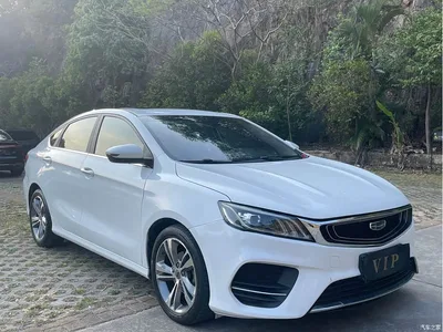 2019 Geely Binrui 200T DCT Binzhi Edition, фото 3, лот 10305591