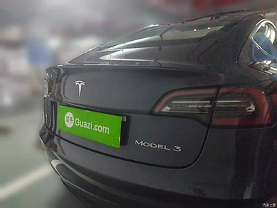 2020 Tesla Model 3 Standard Range Rear-Wheel Drive Upgrade, фото 4, лот 10331397