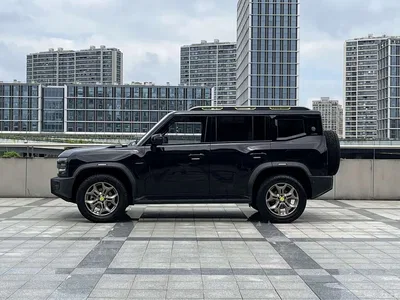 2023 Jetour Traveler 2.0T 4WD Conquest PRO, фото 4, лот 10427736